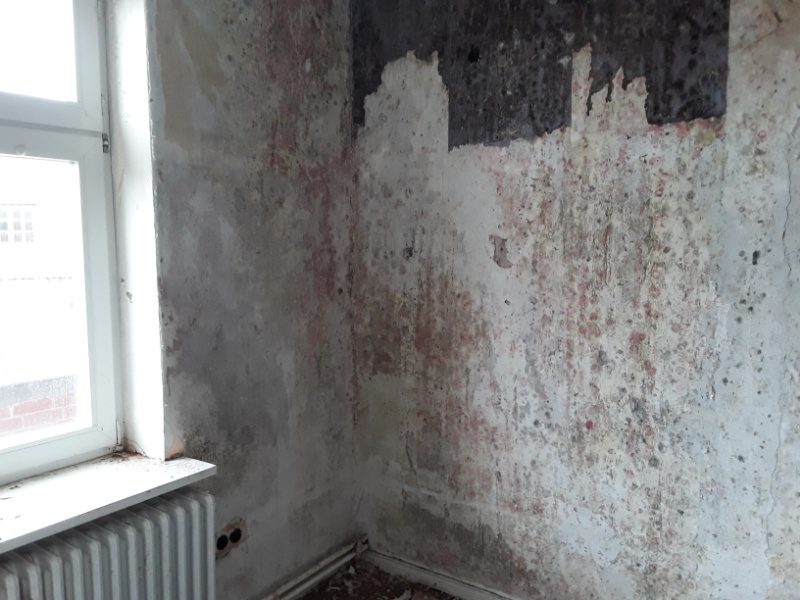 Wasserschaden Schimmel nach Leerstand Wasserschaden Schimmel nach Leerstand